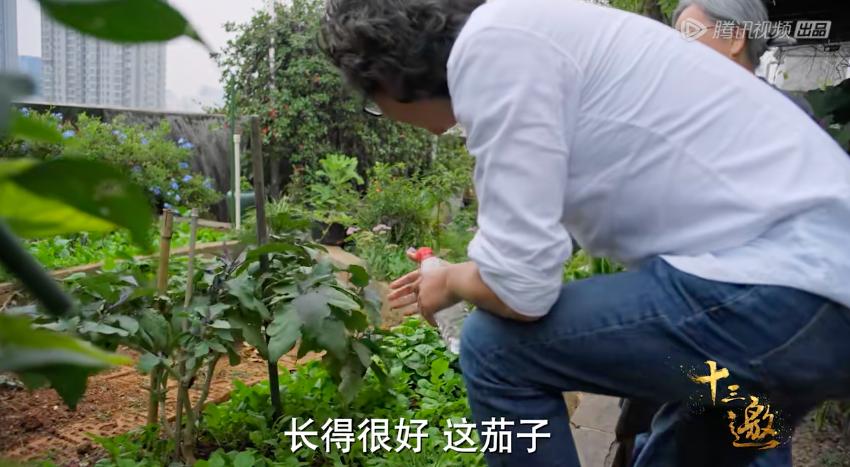 一集飙升9.5分，最惦记的国产良心回来了！