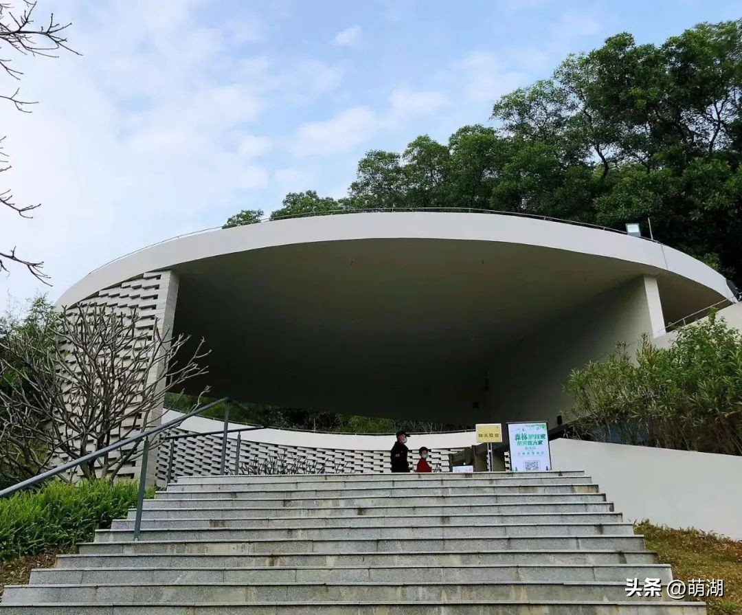 夏天去广州旅游攻略一天,广州旅游攻略一天一夜自由行