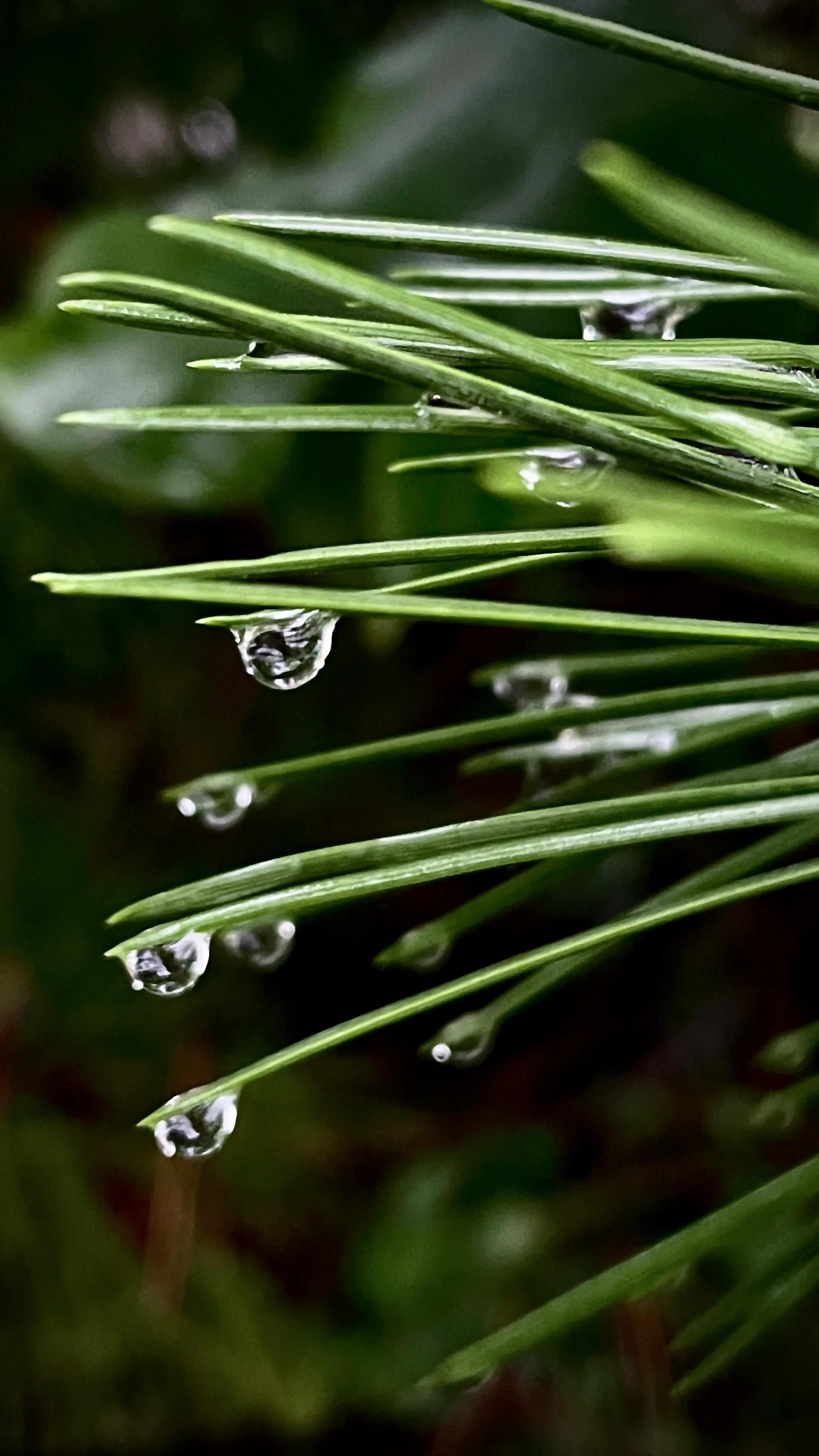 拍拍贷申请条件,拍拍贷案件通知是真的吗