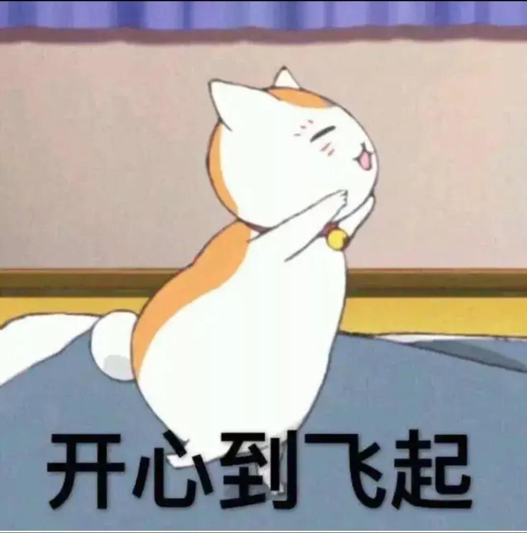 双塔区进口猫粮,拱墅进口猫粮价目表