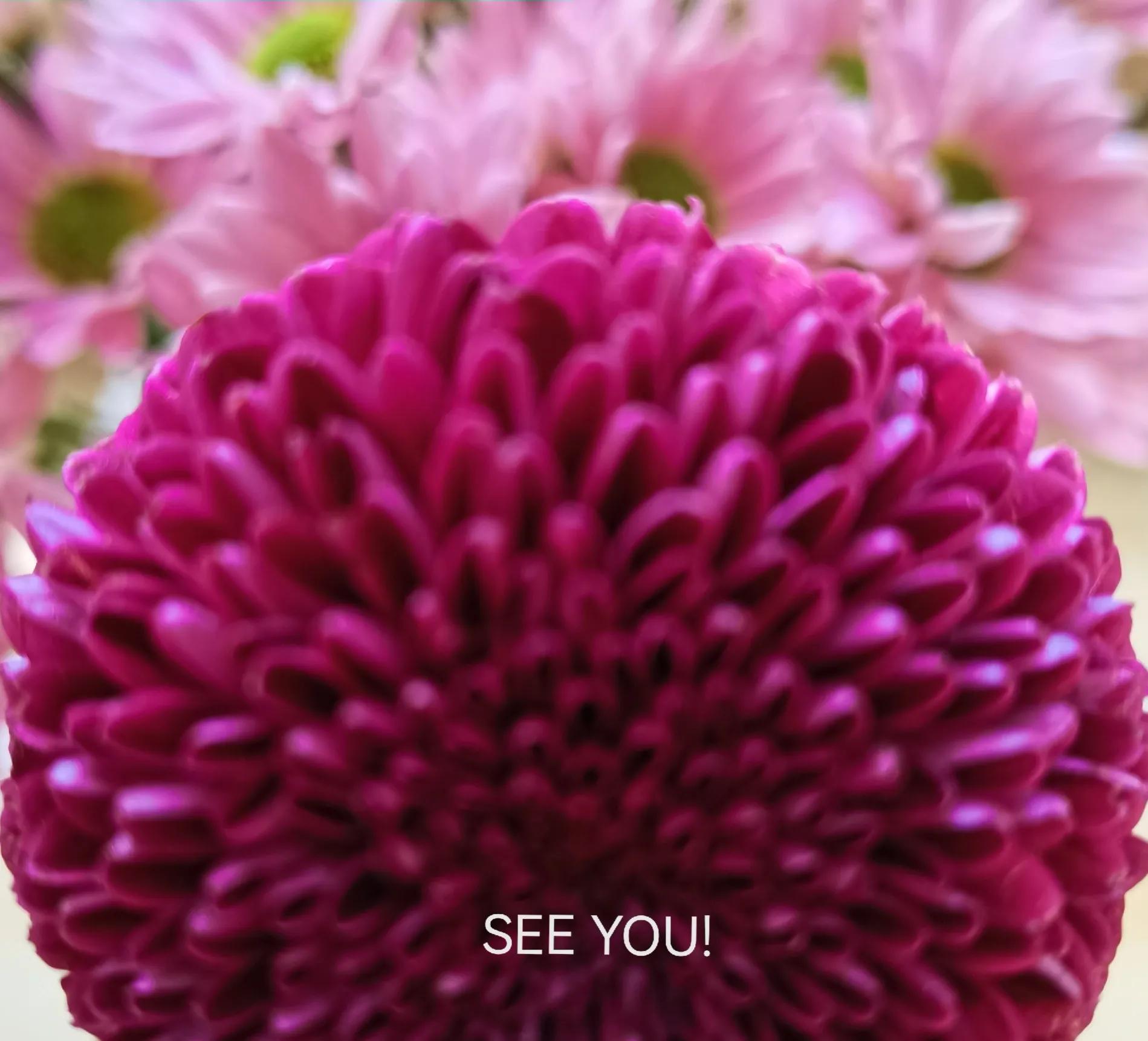 旅游英语口语情景对话,旅游英语口语8