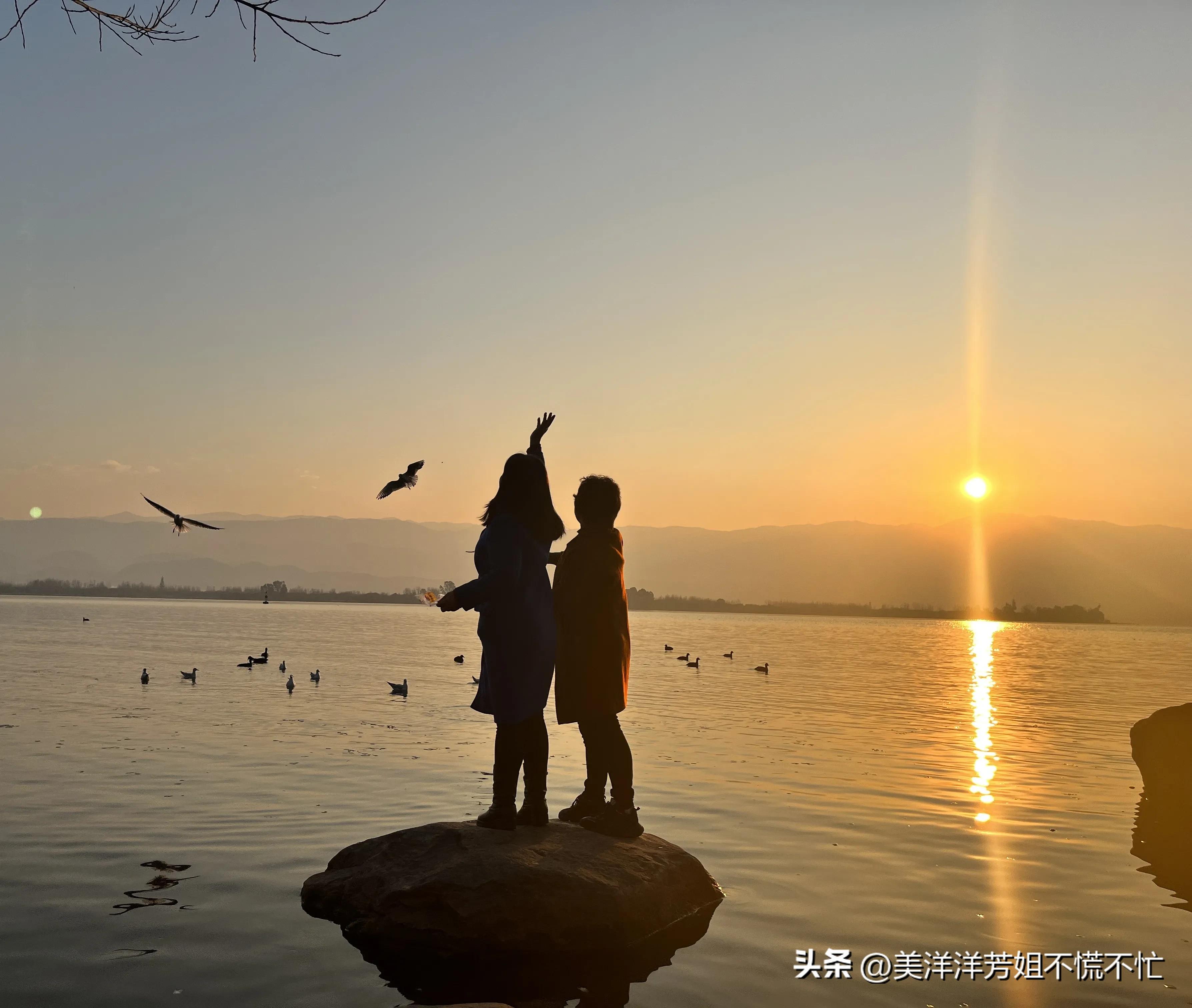 西昌邛海什么时候有海鸥,冬季去西昌邛海喂海鸥