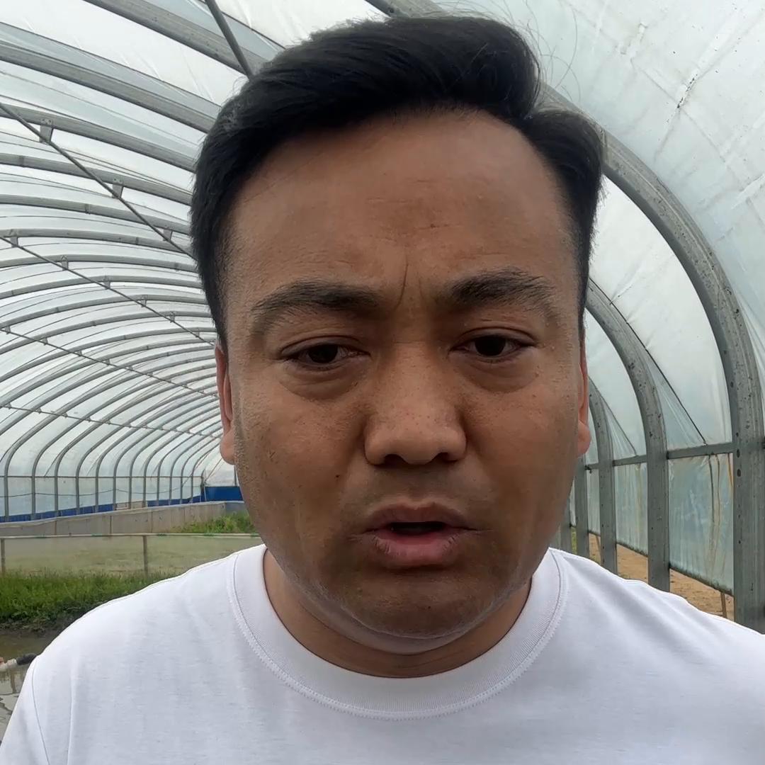 蟾蜍养殖在线解答,蟾蜍养殖新手必看