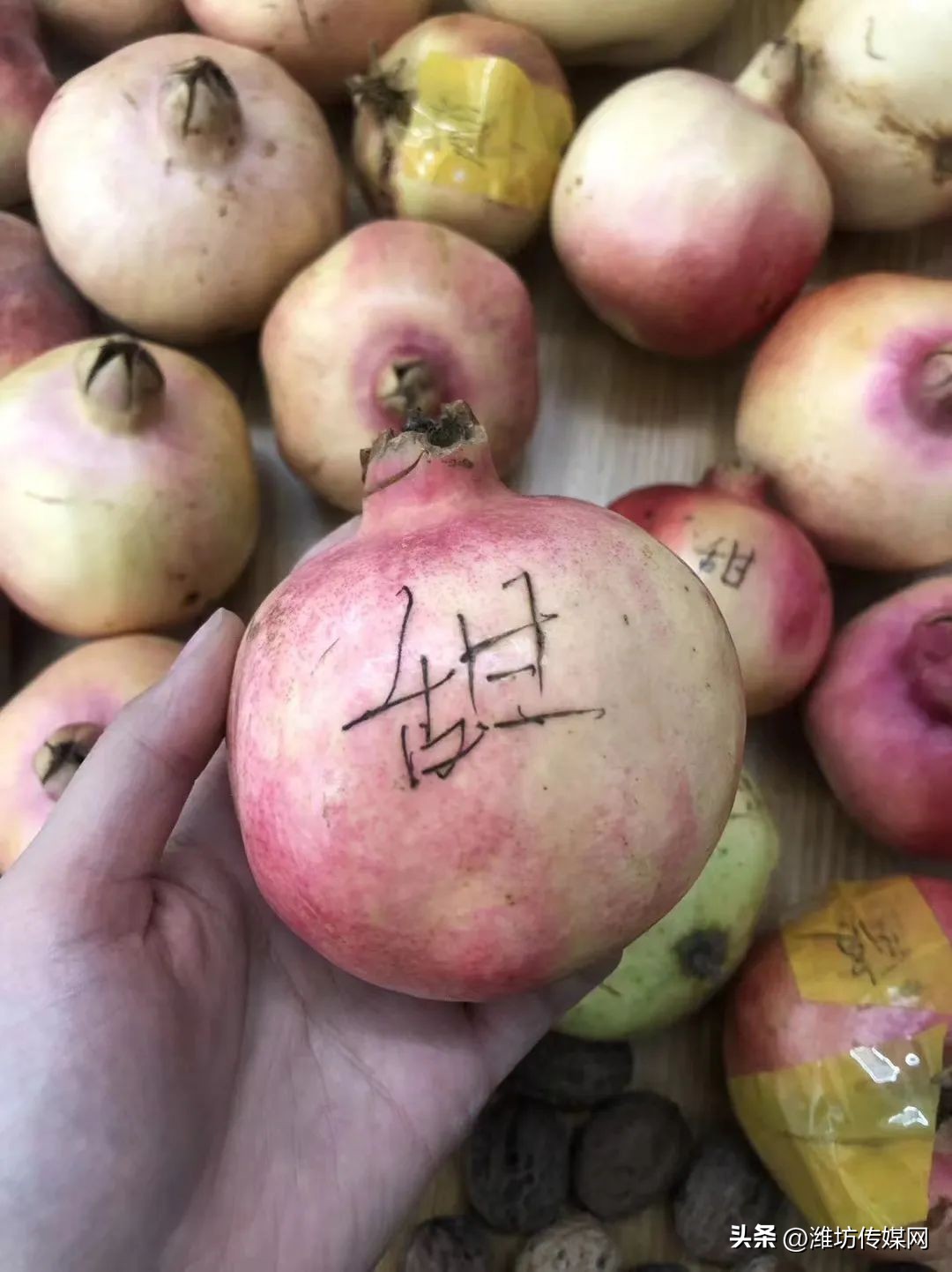 她不过是指了个路