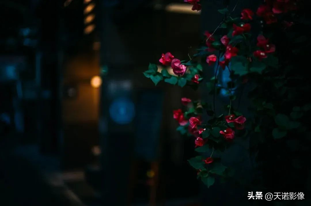 徕卡相机德味最浓的一款,徕卡德味相机有哪些