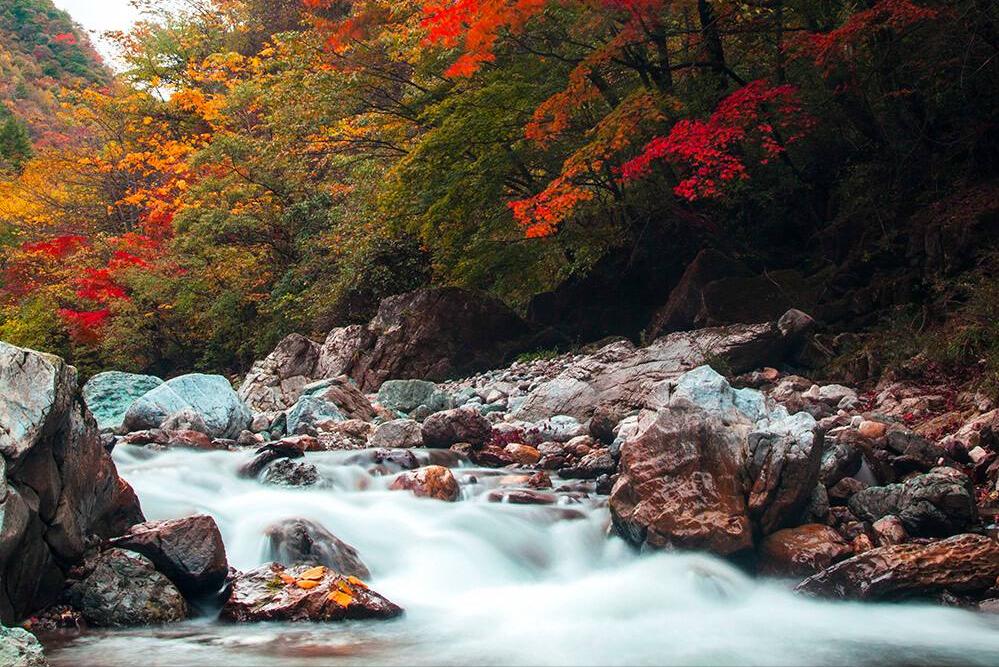 宋代经典七律古诗100首,宋朝最著名的七言律诗