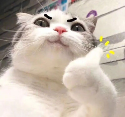 新版微信一键查看已销号的好友,微信里销号了怎么把好友清理掉