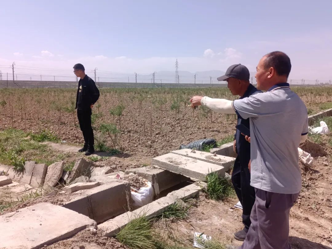 【一周综述】郭勒木德镇一周工作综述2023年第21期（2023年6月12日-6月18日）