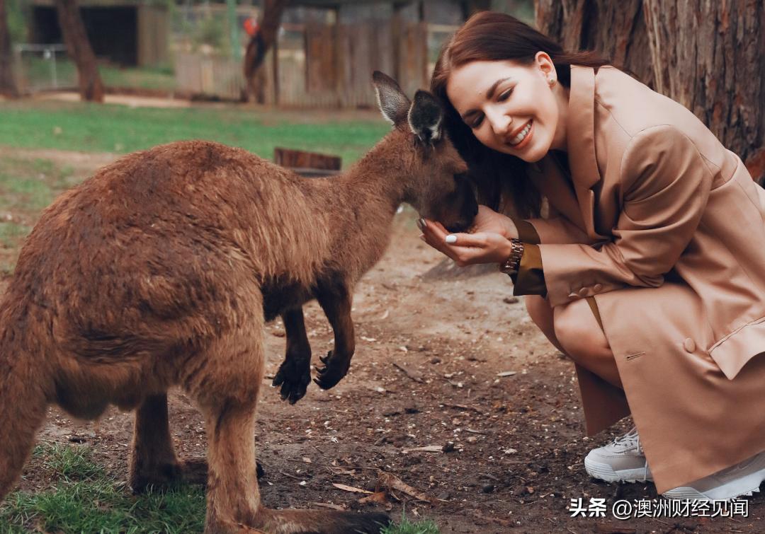 一年200收入在澳大利亚能生活好吗,年收入多少能在澳大利亚定居