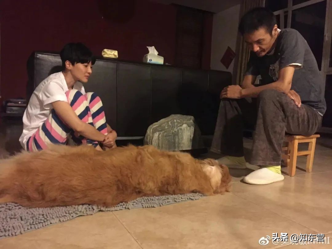 47岁的朴树现状,朴树年轻时候多帅