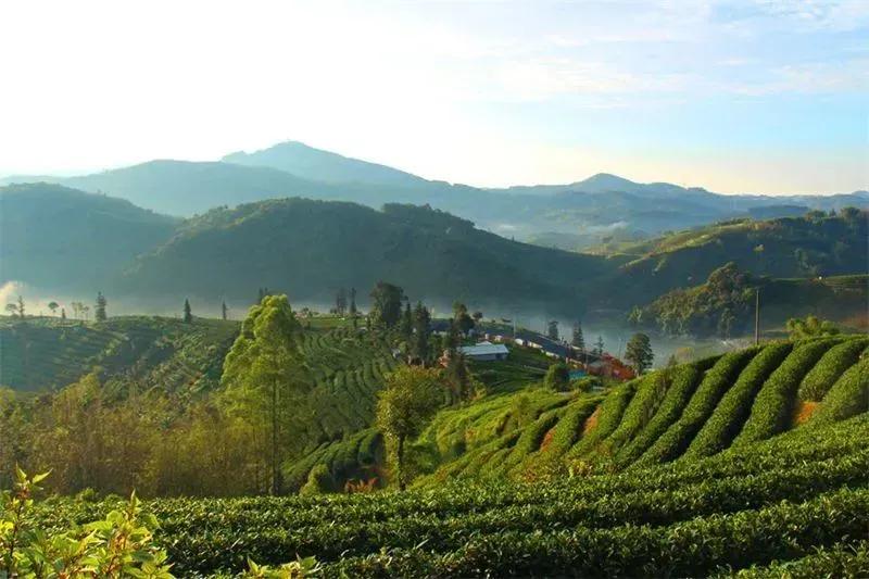 夏天云南最适合避暑的城市,云南既适合避寒又适合避暑的地方
