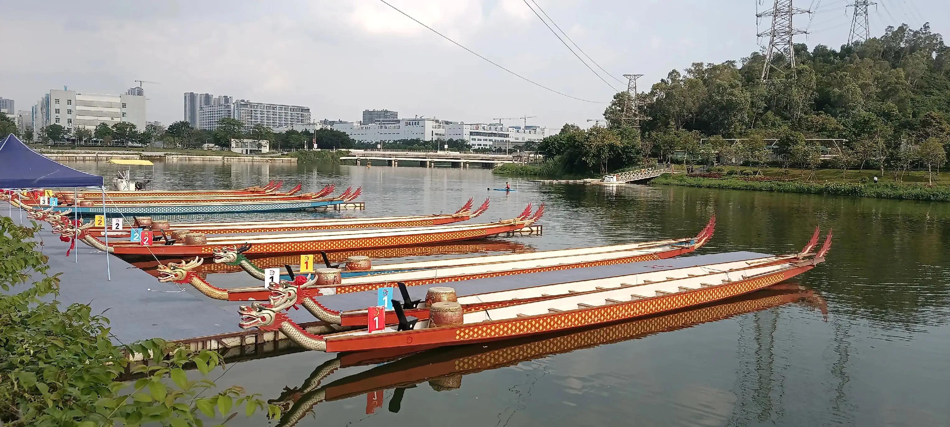 粤港澳龙舟赛直播,深圳粤港澳龙舟赛直播