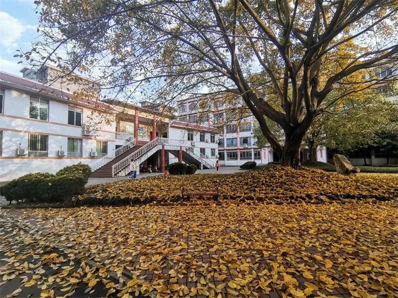 眉山市高中体育特长生招生,洪雅中学高中部招生条件