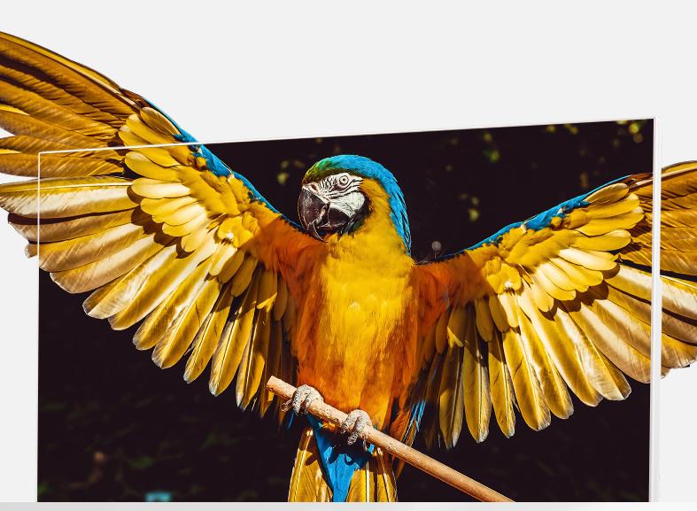 宁美A2412一体机|简约不简单,到手低至1799元