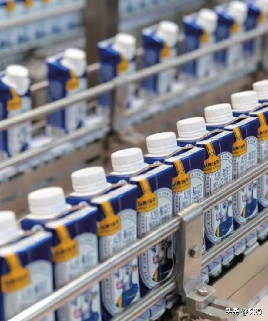 养牛近十年,养牛10年一场空