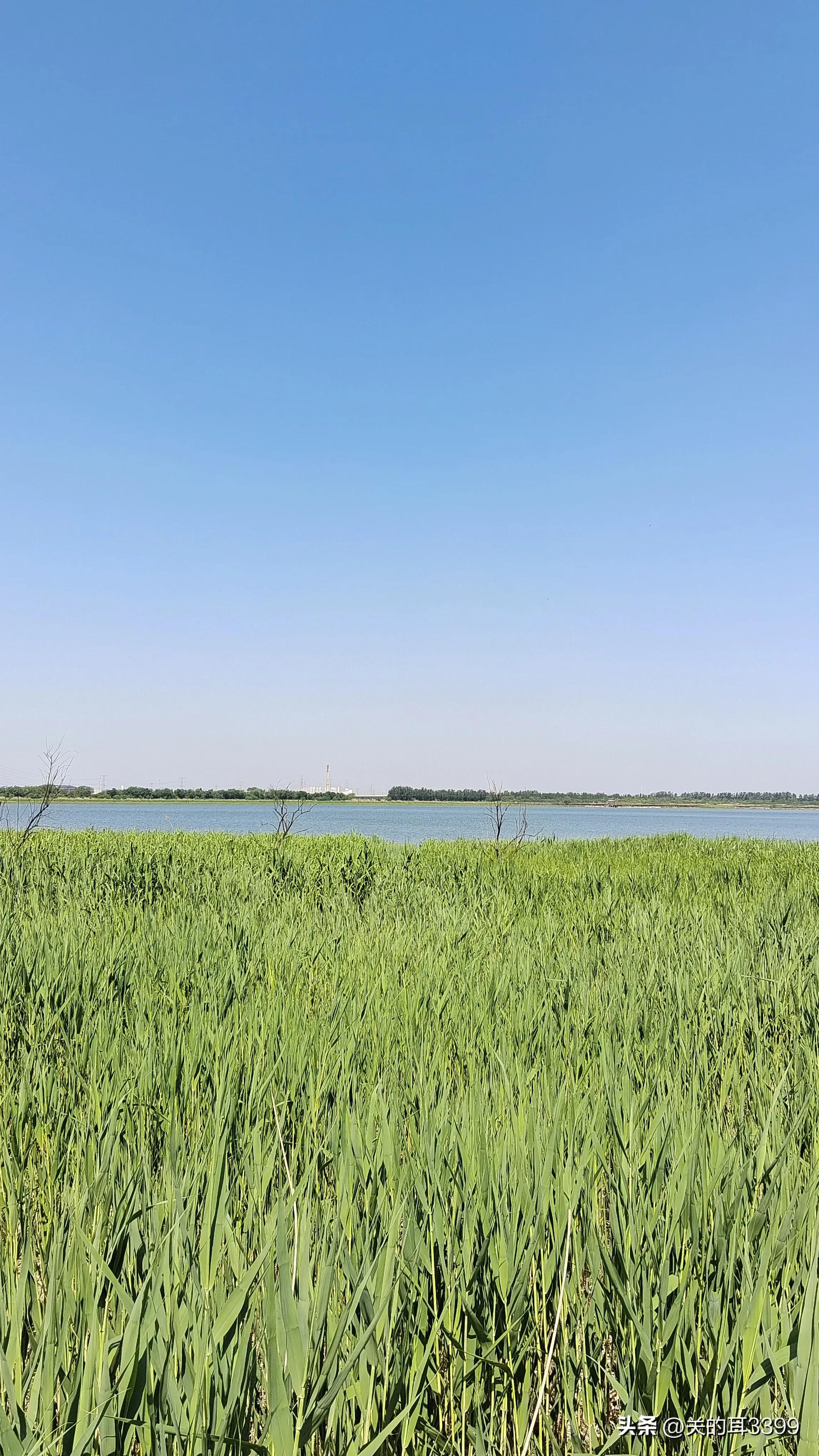 北塘新宜家园,北塘新房板块