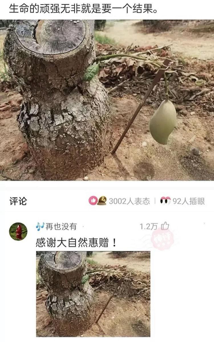 「盐选神回复」我严重怀疑我是充话费送的