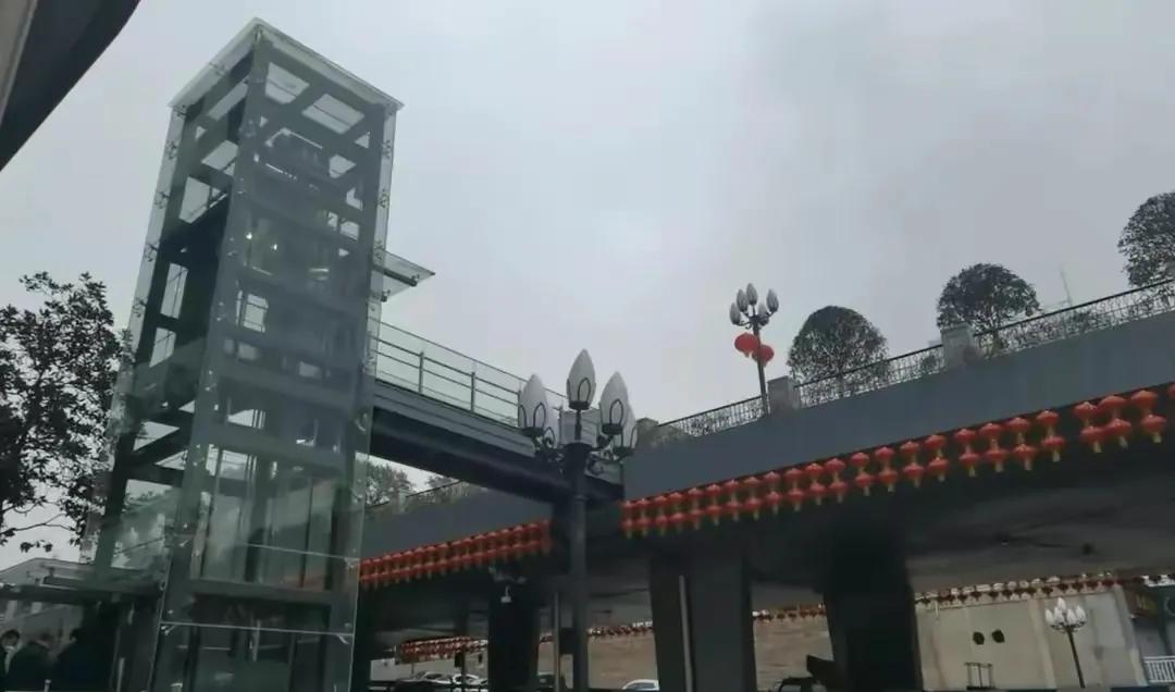 春游开拓眼界,春游樱花广场图片