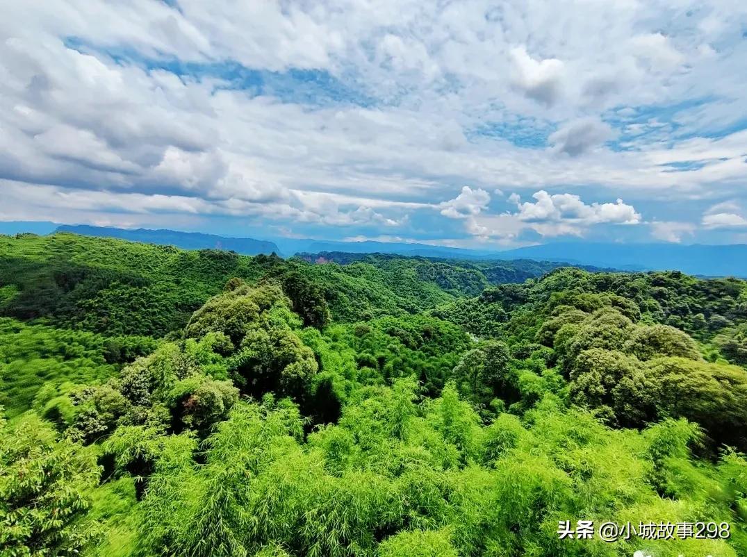 乐山旅游景点沐川竹海,乐山竹海风景区冬季