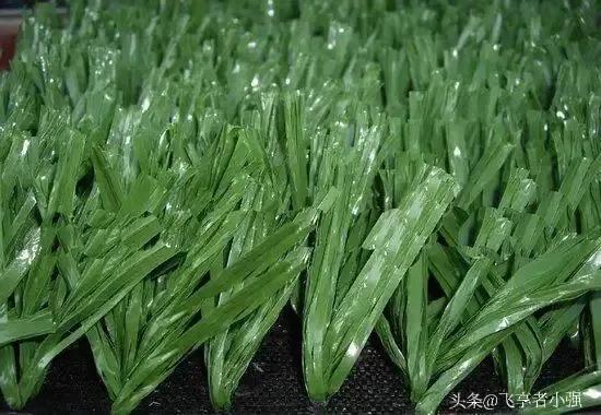 真是开眼了,世界杯足球赛场的草坪是什么做的