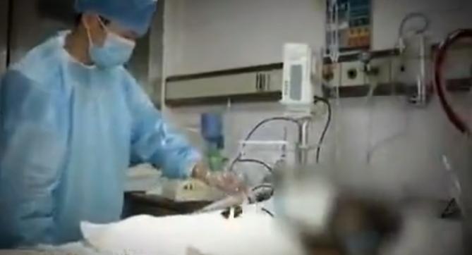 男子被泼硫酸凶手竟是枕边人,男子被妻子泼硫酸