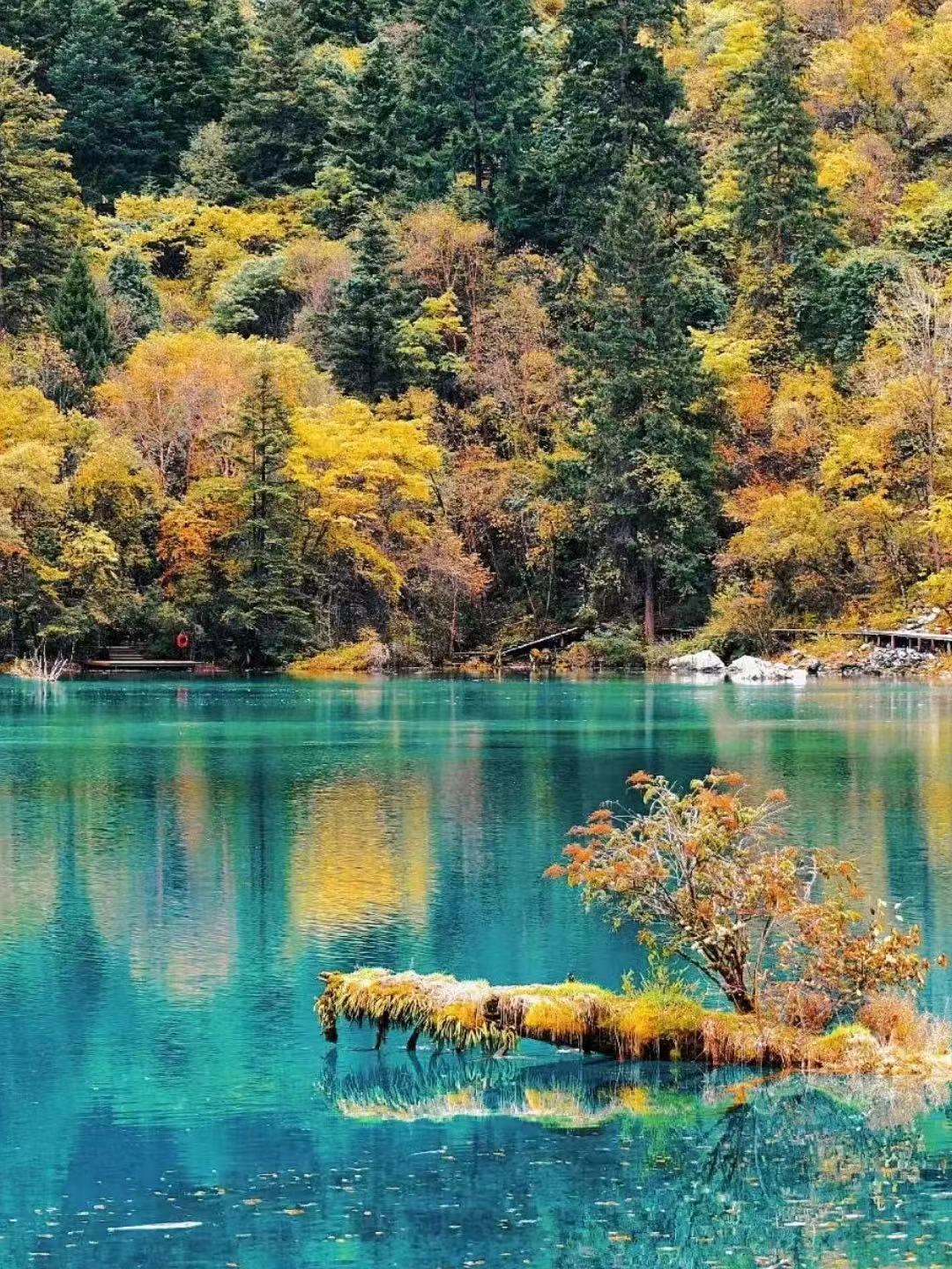 九寨沟童话仙境四日游,九寨沟童话路