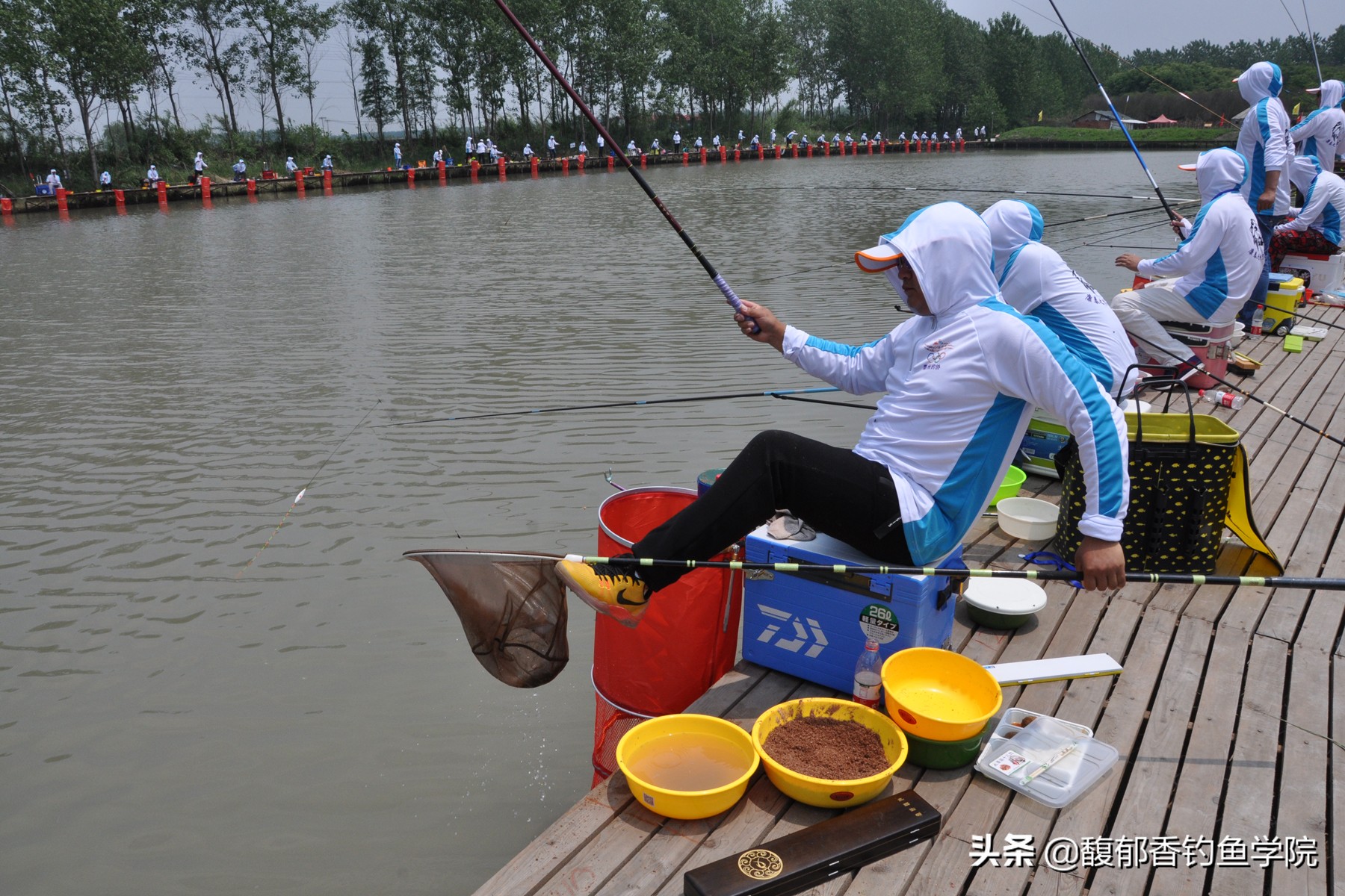 为什么钓鱼大师都钓的好,水库钓鱼和黑坑区别