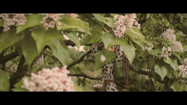 各位贵妇的包包,2022年最值得入手的包