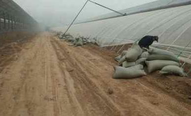 养鸡卖鸡粪带全村致富,小伙子在农村养鸡致富