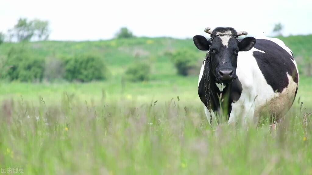伊利零碳,低碳0碳产品伊利