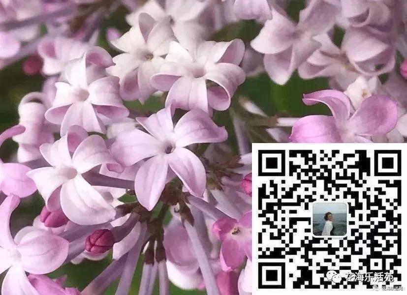 看世界杯足球比赛有感,看世界杯日记300字