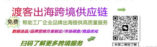 中国卖家在海外：卷死别人也卷死自己