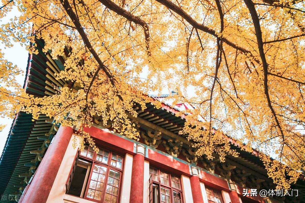 武汉大学弘毅学堂保研率,武汉大学弘毅学堂数学保研率多高