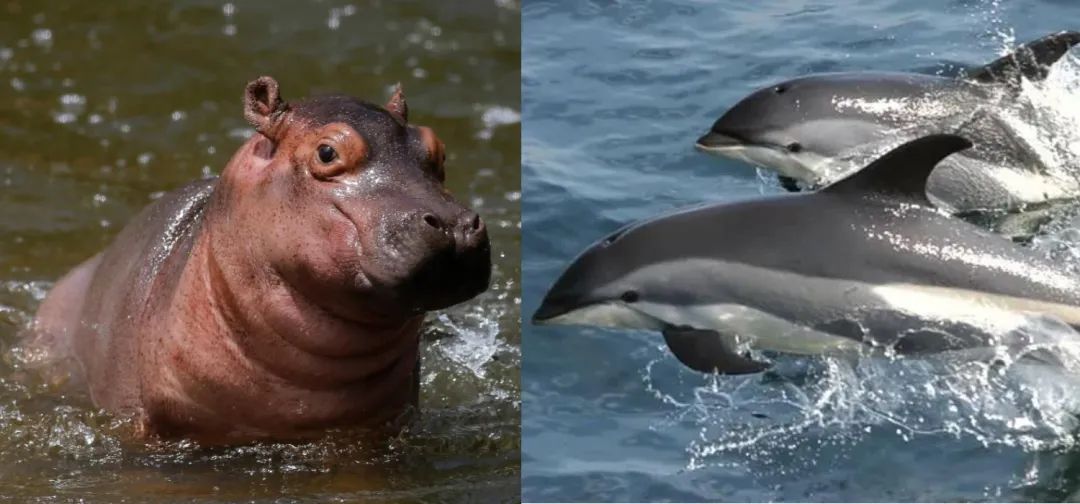 多灾多难，我们的未来还会好吗？