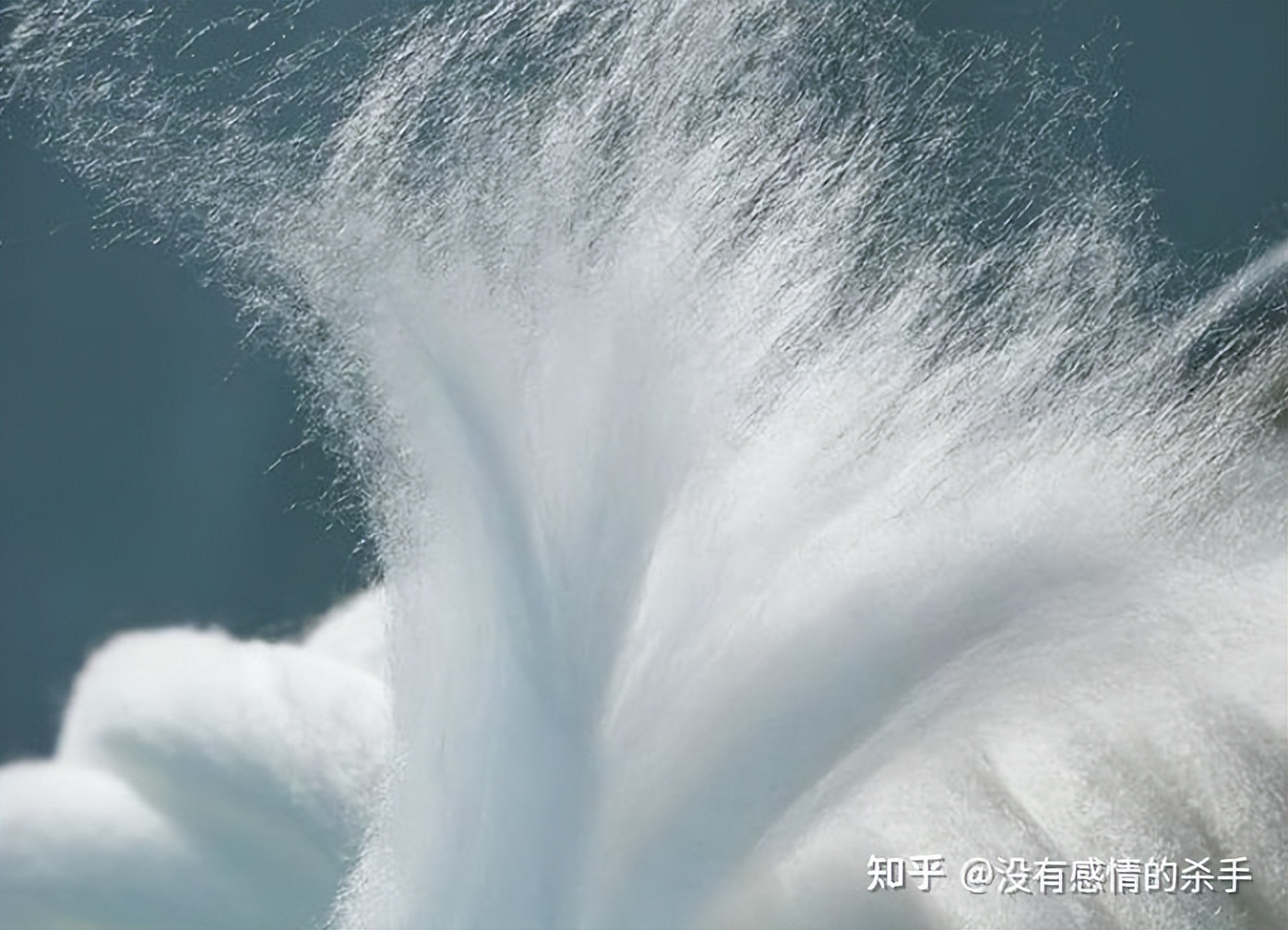 莱赛尔铜氨丝和粘胶纤维的区别,天丝莫代尔和莱赛尔纤维的区别