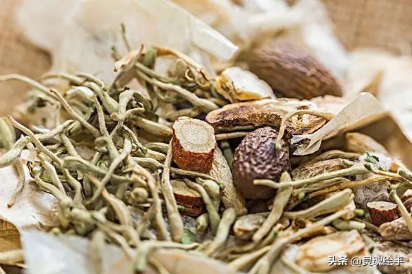 植物为什么可以治疗动物的疾病？