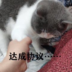 试用期最后一天被公司劝退怎么办,试用期被辞退不想走怎么挽回