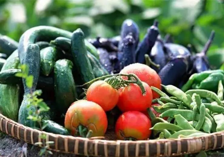 低热量高膳食纤维高钾的蔬菜,高纤维蔬菜可以让我们肠胃更健康