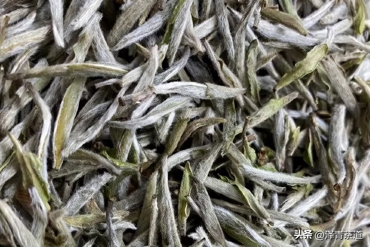 盖碗适合冲泡的六大茶类,中国茶道之六大茶类冲泡