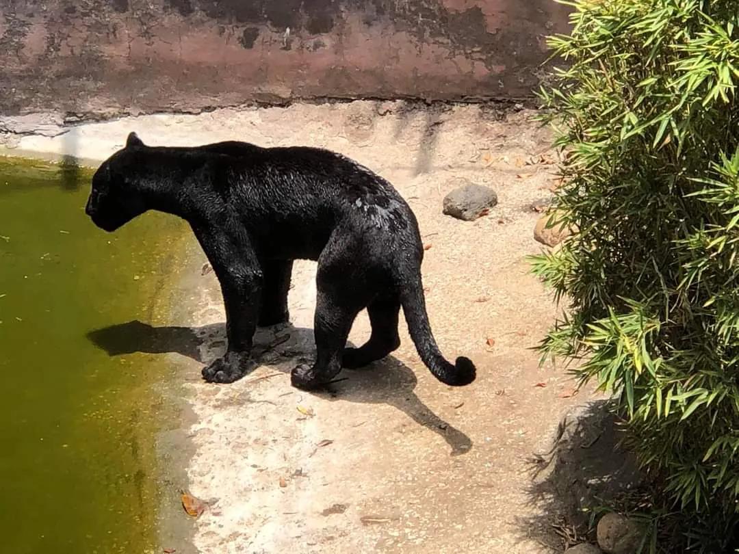 危地马拉的著名风景,危地马拉的首都游玩