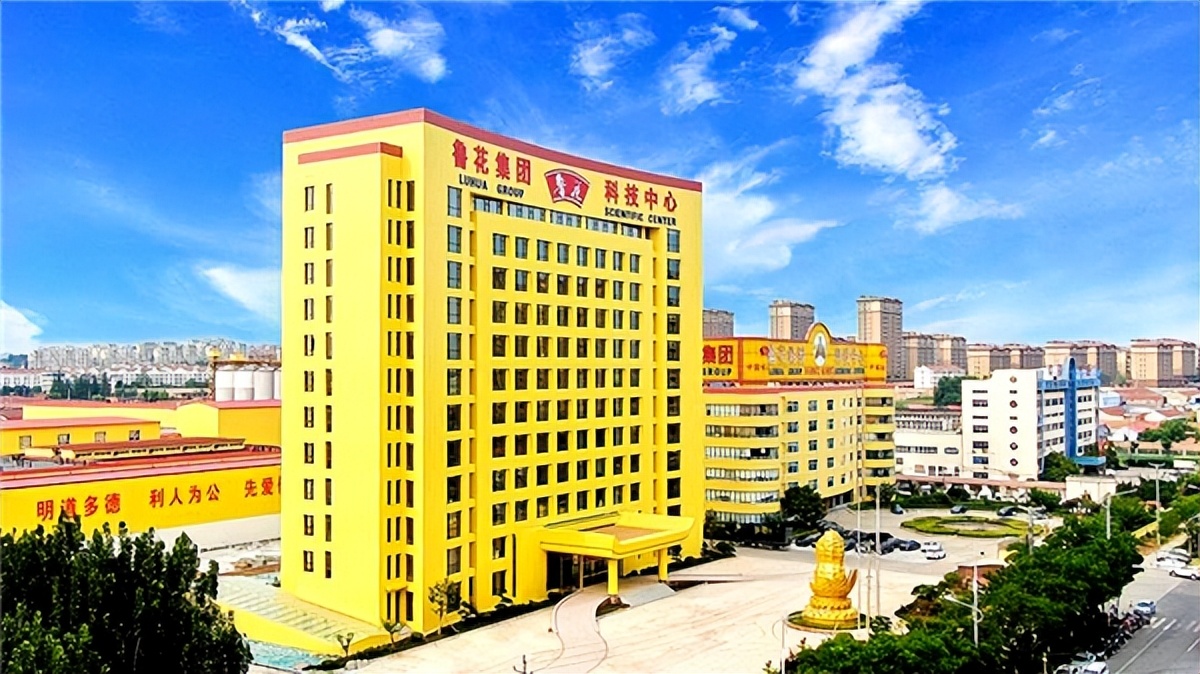 万达集团到访新区,万达集团来房县考察