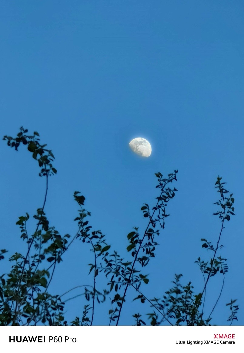 华为p60系列影像测评,华为p60pro影像补齐短板