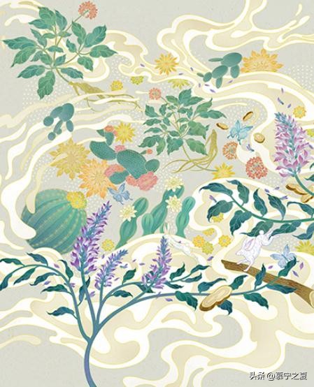 谷雨美白修复面霜多少钱,谷雨光感美白面霜怎么样