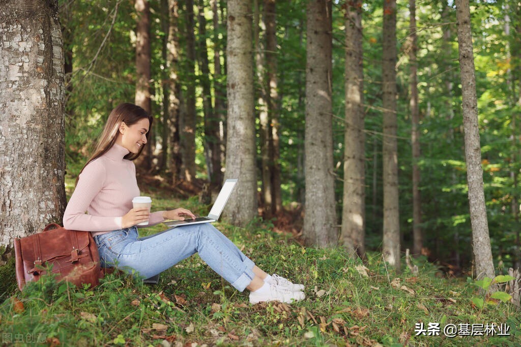 学林业技术好就业吗,林学专业好就业吗