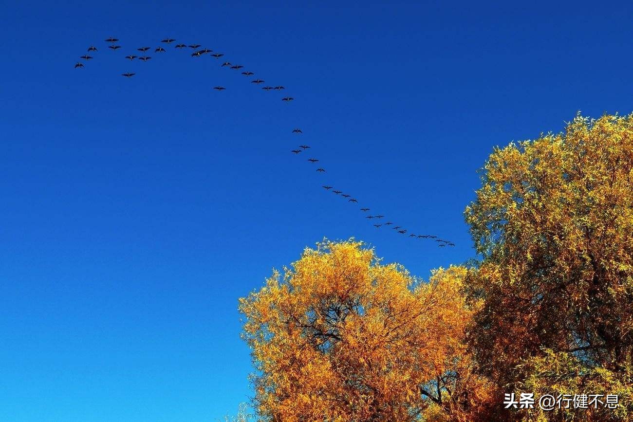 王维笔下的秋天,是一首恬静优美的诗,更是一幅赏心悦目的画