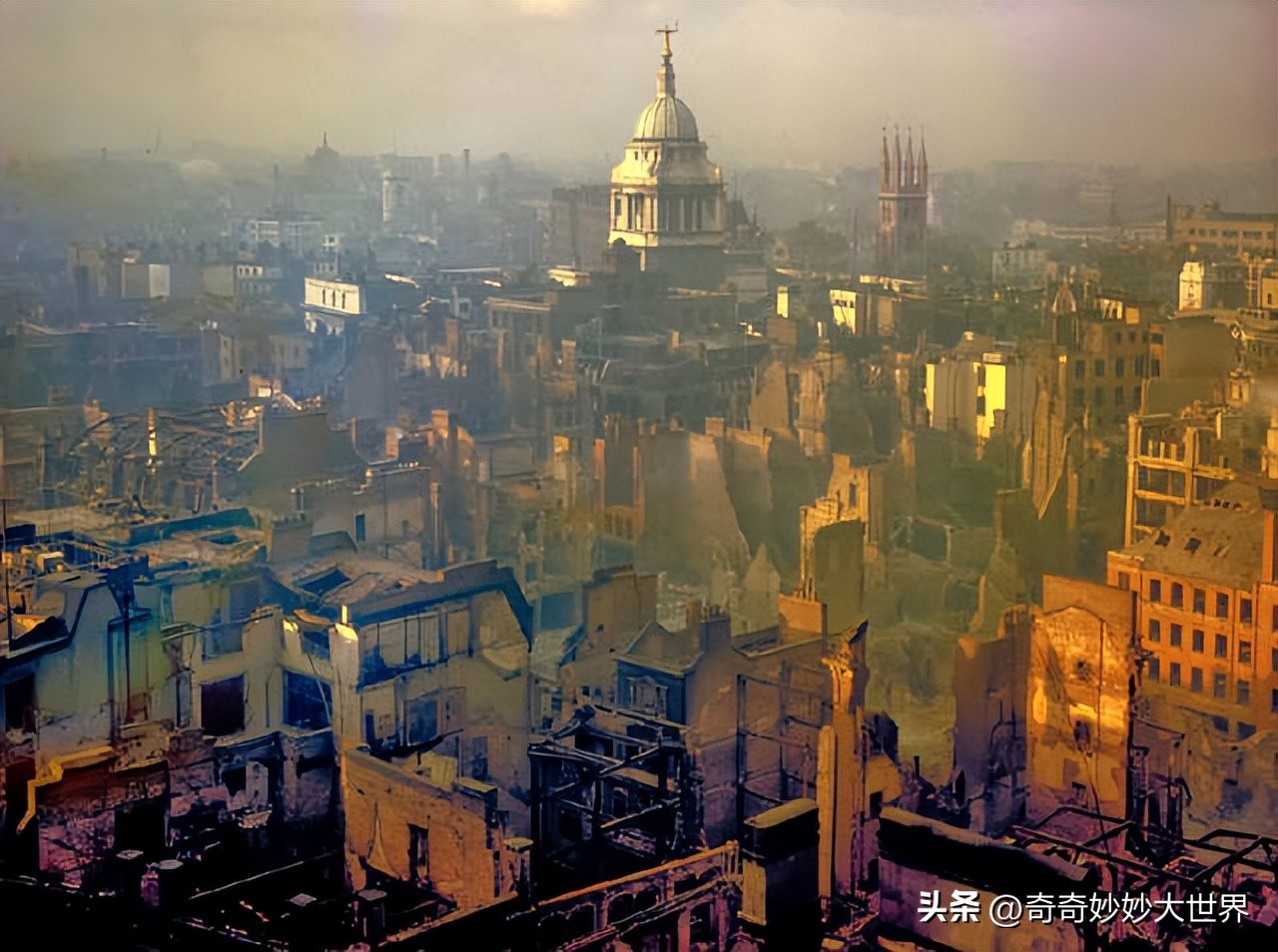 28张图看世界，欧洲贵妇的小便神器，在挪威“当官”的企鹅