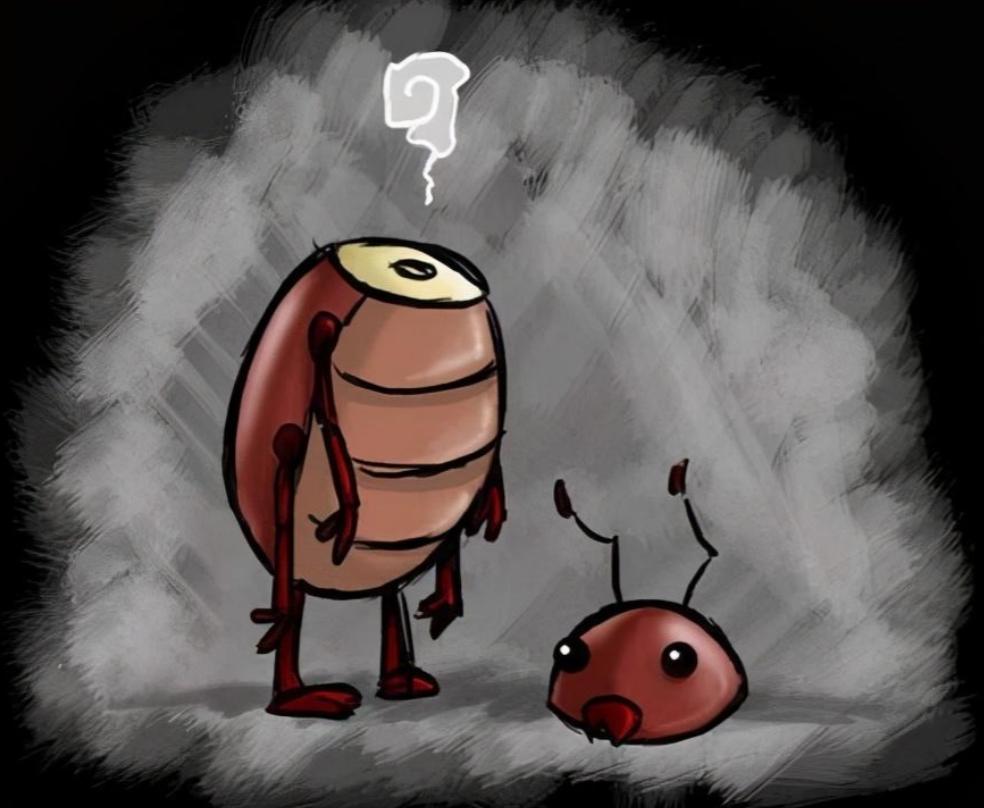 厦门一女租客房间里遍布万只蟑螂,房东房子堆满蟑螂