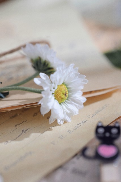 春风十里如沐春风散文,经典里的春天散文