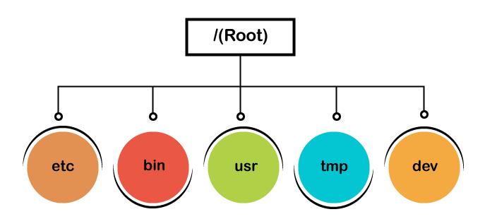 适用于linux的windows子系统,linux分区和windows分区区别