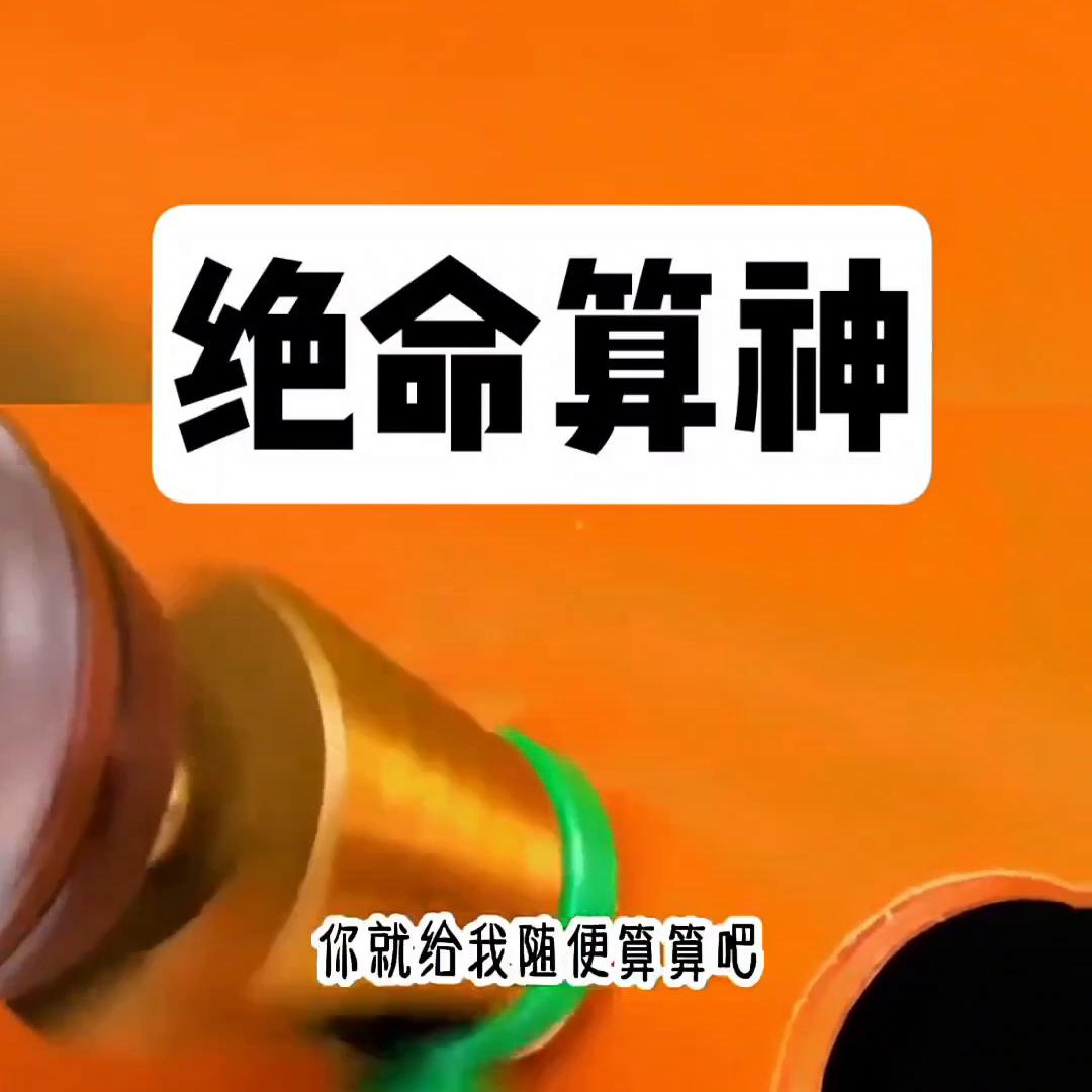 绝命神卦小说,绝命算神小说